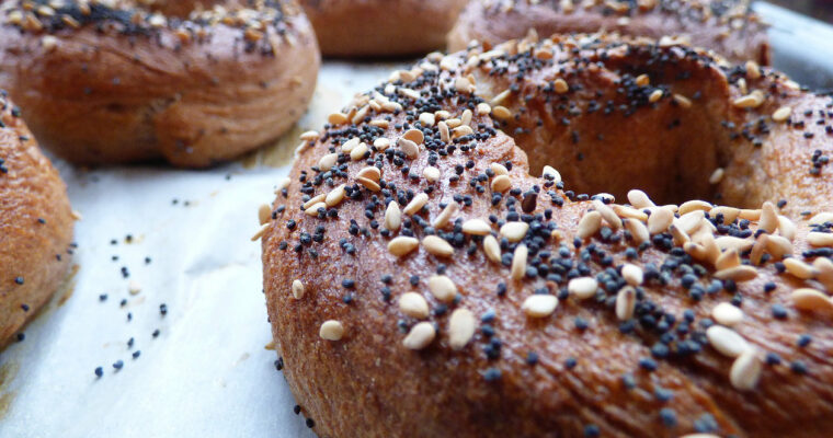 Whole Wheat Bagel Step by Step